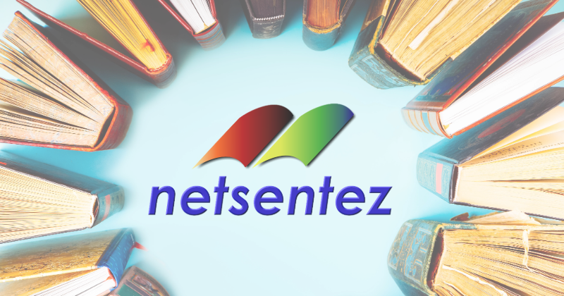 logo-netsentez